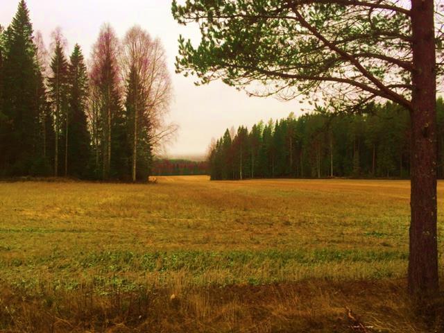 Typområde i Västerbottens län Utvärdering av undersökningar