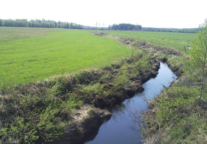 2. Beskrivning av området Typområde ligger i Västerbottens län och är ca 328 hektar stort. Området är böljande och består till största delen av skog.