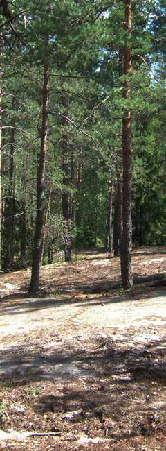 BERGSSPRÄNGNIN- GEN OCH