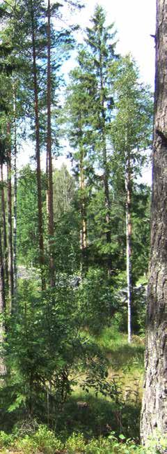 VINKELKÄRR I