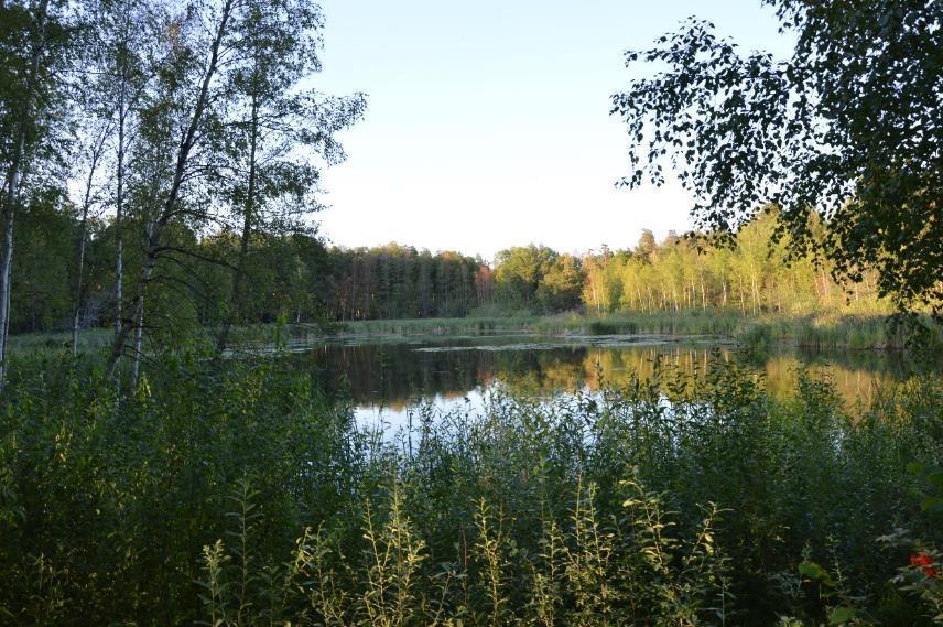 Omgivningar Omgivningarna består framförallt av bebyggd miljö. I väster är merparten av ytan hårdgjord yta i form av Orminge centrum.