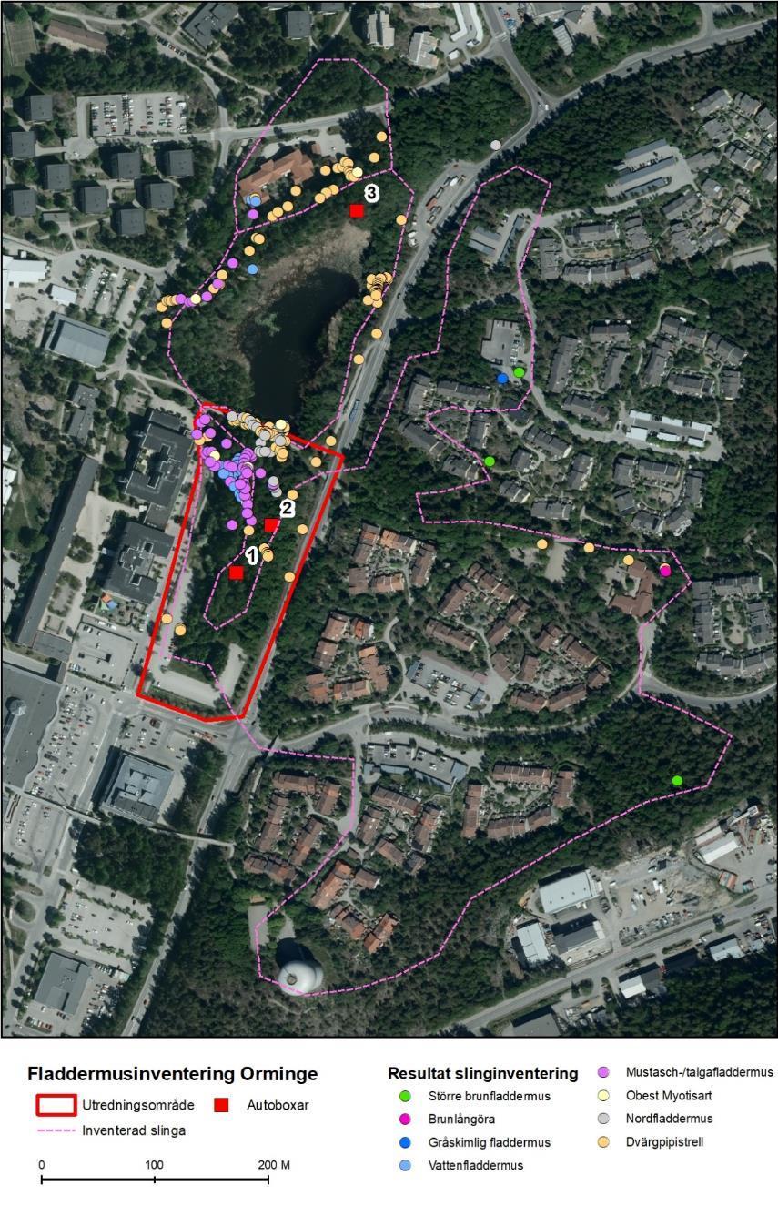 Figur 2. Resultat från slinginventering och placering av autoboxar.