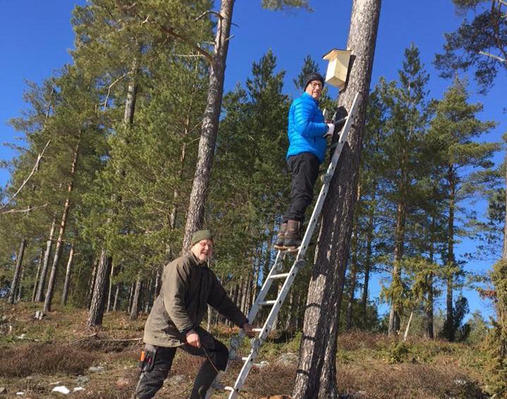 Alla 36 holkar blev snabbt sålda, bra jobbat Svante! Ornitologen Rainer Winkler berättade på ett mycket intressant sätt om olika fåglar och dess läten.