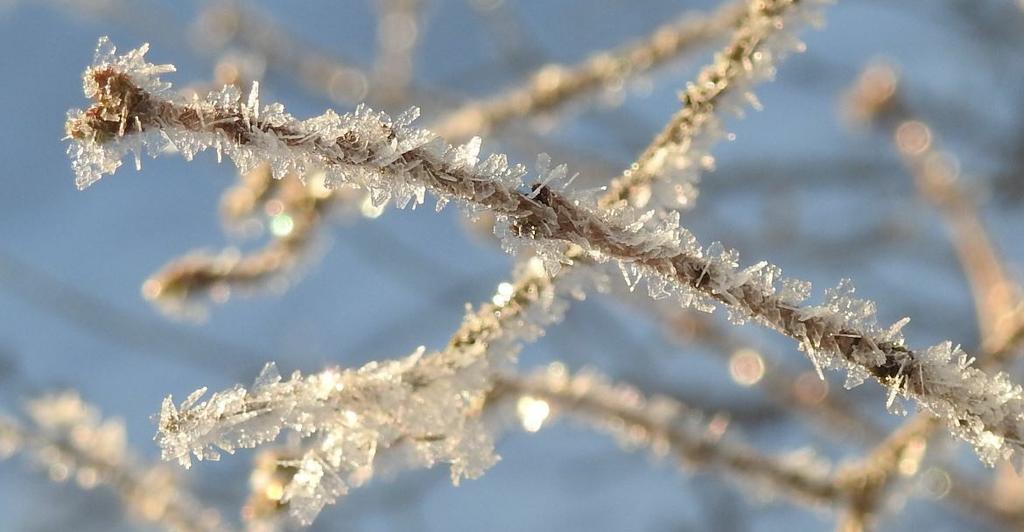 Om du hellre läser meddelandet i w ebbläddraren, klicka här 1/2019 5.2.2019 Ur innehållet:» Utforska rummet - nytt material för kyrkorummet som lärmiljö» Dop och kommunikation - gratis inspirationsdag 13.