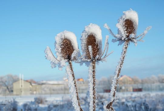 möjligt och satsar mycket på innovation för att uppnå detta. Epiroc investerar nu i att elektrifiera och automatisera gruvdriften, vilket leder till fördelar på en mängd områden.