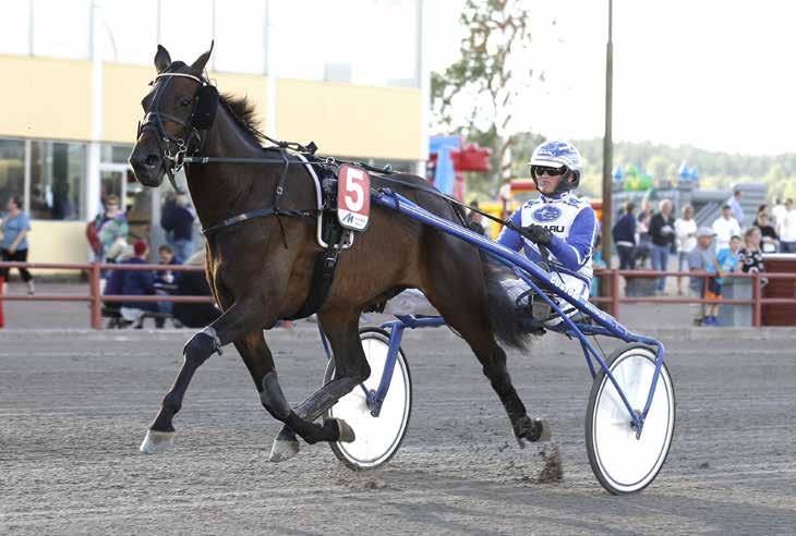 månadens häst december2017 Rally Frans Foto: Hanold/Foto-Mike Foto:Fredric Gustafsson/Foto-Mike Valack 3 år e. Syrinxian (US) u. Arnizette Nova ue.