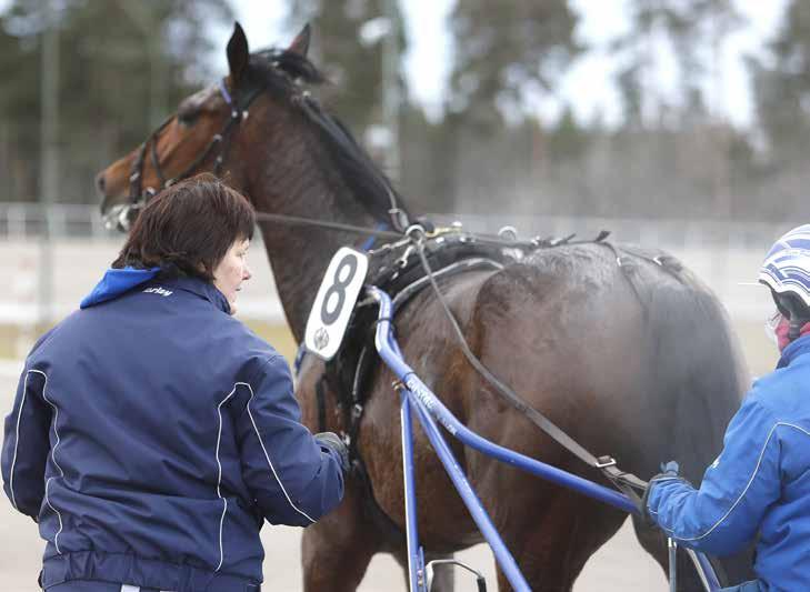 månadsrapport december2017 men på Bollnäs tog hon inte fatt i grejerna ändå. Nu provar vi ytterligare ny utrustning och jobbar på den här månaden.