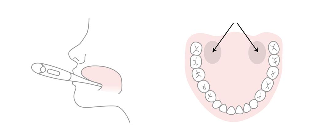 1. Placera termmetern i munnen under tungan, så långt bak sm möjligt nära tungrten, i enlighet med bilderna nedan. 2. Tryck endast på startknappen när du är säker på att termmetern är krrekt på plats.