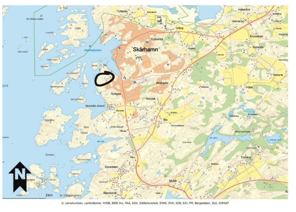 3 (8) Uppdraget Uppdraget har inneburit att utföra en inventering av groddjur i ett mindre våtmarksområde i Södra Hamnen, Skärhamn, Tjörns kommun (se översiktskarta figur 1).