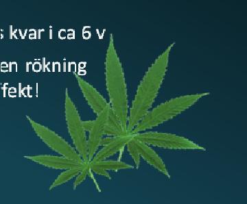 borta efter ca 1 v, finns kvar i ca 6 v