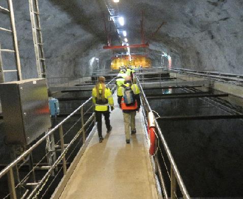 följde en drygt timslång vandring i