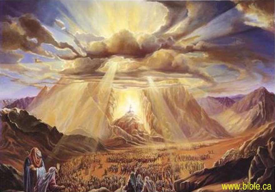 MT. SINAI = MT.