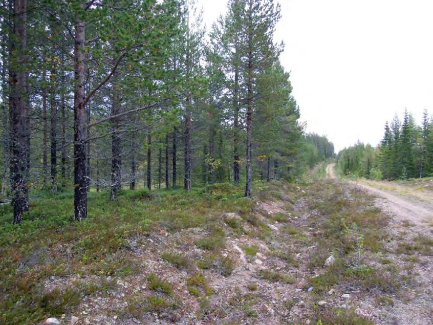 Skogsmark med bra virkesförråd och relativt jämn åldersfördelning,