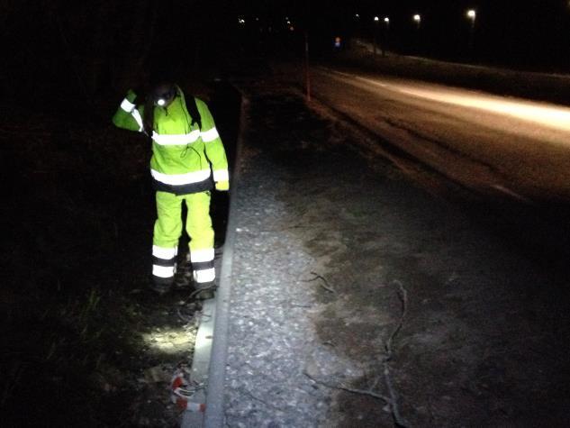 Samtliga observationer exporterades till Artportalen. Vanlig groda och åkergroda var ibland svåra att skilja åt och slogs därför ihop i analyser och redovisning. Bild 7. Stråkinventering kvällstid.