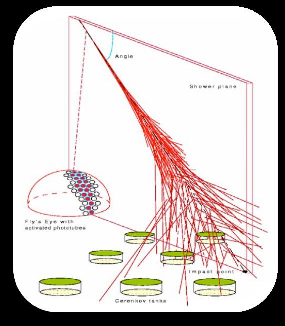 calorimetry, measurement of shower maximum