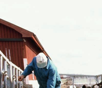 verksamheter där barn och ungdomar som orsakar juverinflammation, vilket i så fall skulle kunna vara ett billigt och snabbt verktyg för epidemiologiska studier.