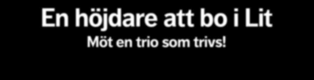 Lit Möt en trio som trivs!
