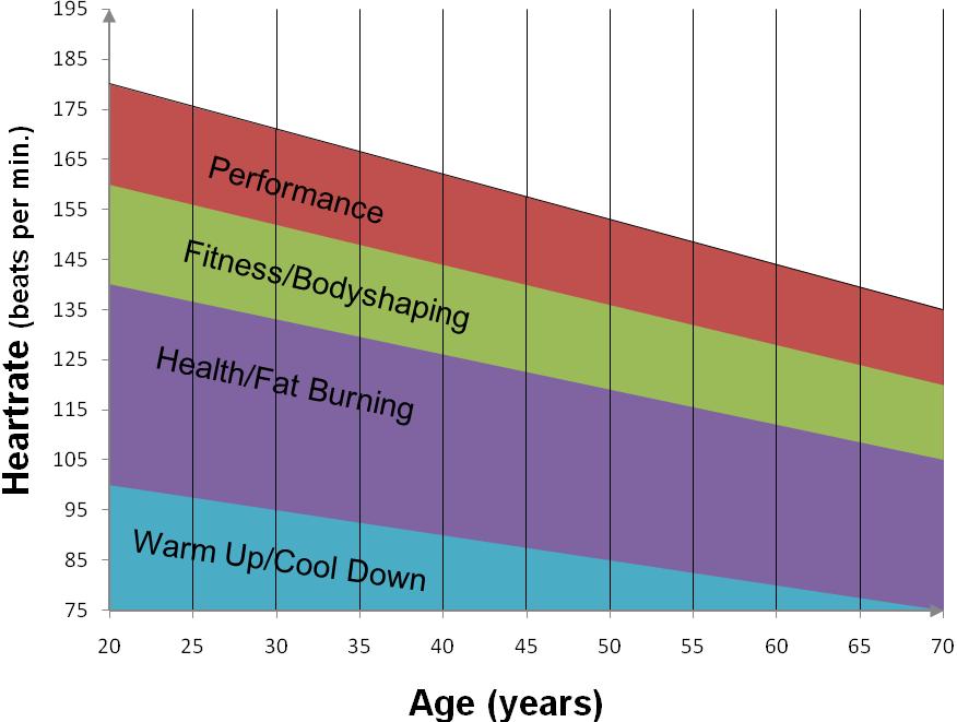 Pulsdiagram Så här räknar du fram målpulsen för din träning: Maxpuls = 220 minus ålder Du bör träna med följande procentsatser av din maxpuls för olika träningssyften: Välbefinnande/fettförbränning: