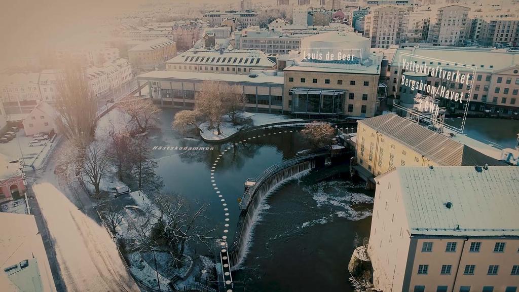 Hästskodammen Ekologi