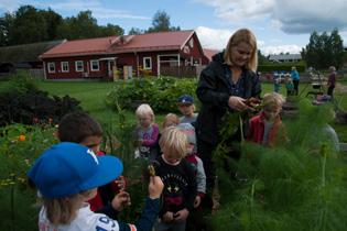 Fenomenet började i Finland 2013 och sprids nu till andra länder.