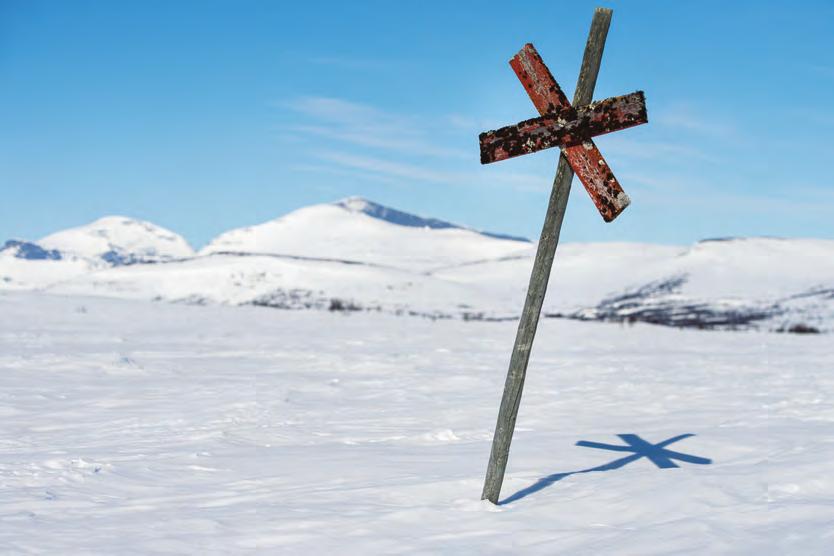 Upptäck Ljungdalsfjällen och