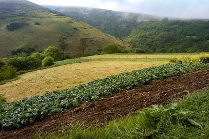 Camino del Norte, San Sebastían Santiago de Compostela, 37 nätter 10(15) Det växlande landskapet efter Abadin Dag 32 Vilalba Santa Leocadia, transfer till Parga Du lämnar staden genom att korsa