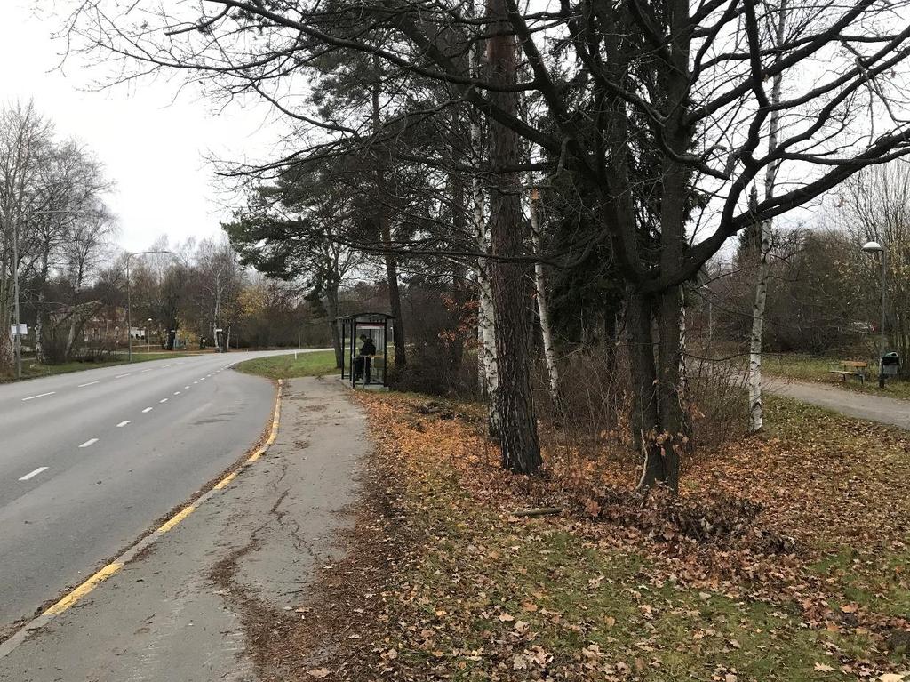 sidor om vägen. Figur 3: Foto taget längs Björnmossevägen.