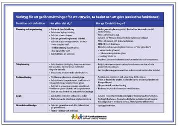 Det blir därför en utmaning att planera så att det blir ett väl fungerande umgänge. Föräldrarnas och i många fall även barnens funktionsnedsättningar innebär att det behöver göras anpassningar.