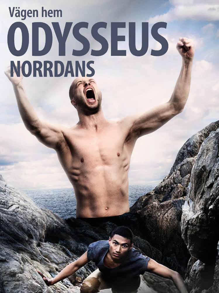 www.norrdans.