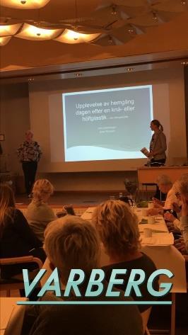 Vinnarna för D-stipendiet Ann Grüneberger och Anna Tärnqvist presenterade sitt arbete och innehållet i sin uppsats Upplevelse av hemgång dagen efter en knä- eller