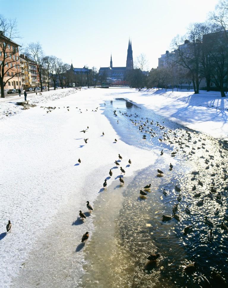 Månadsblad februari Träffpunkt Årsta En mötesplats för dig som är senior 65+ Här är du välkommen för en stunds sällskap, ta en kopp kaffe, läsa dagens UNT eller delta i de aktiviteter som erbjuds.