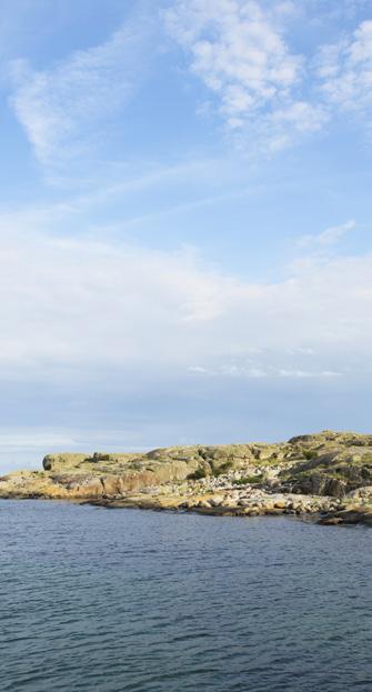 Föreläsningar, temadagar och utflykter Föreläsningar, temadagar och utflykter Föreläsning Hur motion och träning stärker din hjärna Vill du bli bättre på att hantera stress, förbättra ditt minne, må