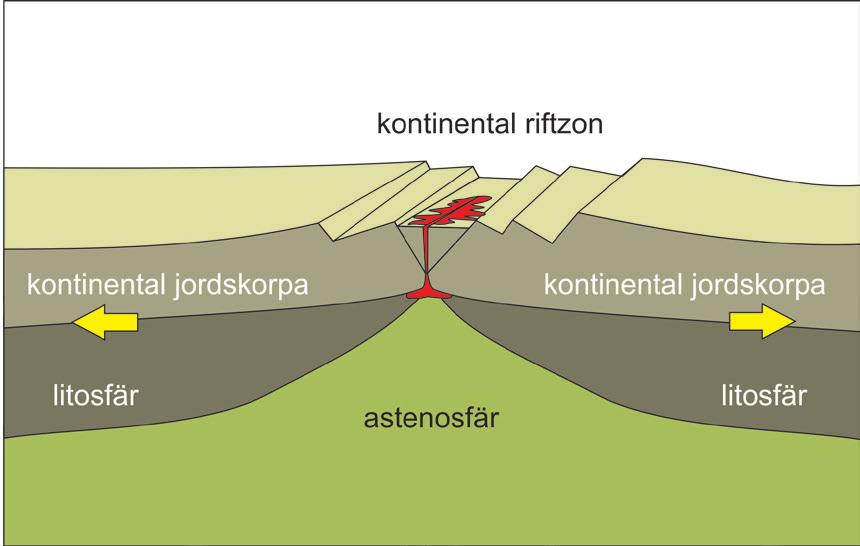 STEFFI BURCHARDT fler grupper, som basaltisk, andesitisk, dacitisk och ryolitisk. Med stigande kiselhalt blir smältan mer och mer trögflytande.