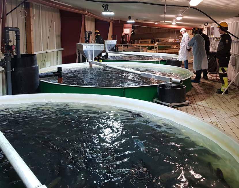 8.2.4 Journalföring för läkemedel och kemikalier När fisken behandlas med läkemedel och vid annan behandling ska odlaren dokumentera: 1. datum för behandlingen 2.
