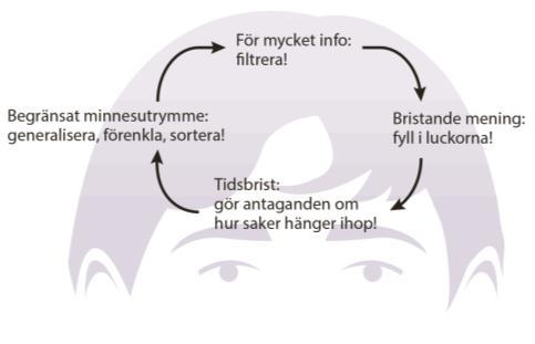 interventionen Vi drar slutsatser baserat på små och