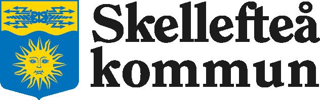 Här nedan återfinns de största finansiärerna till Process IT.