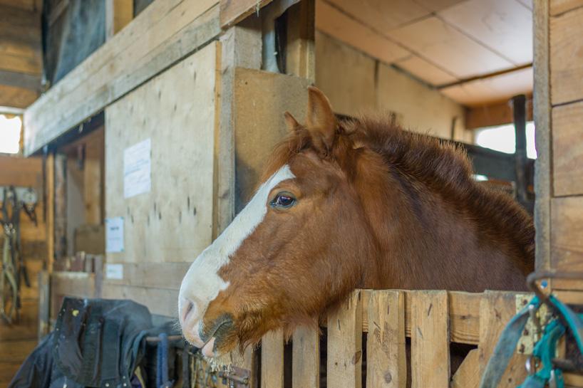 PIMPLING Lördagen den 2/3 klockan 10.00-14.00. Plats: Stora Lövsjön. Utrustning kan lånas, men tag med om du har! Gratis för barn, vuxna kan köpa kort. Korv med bröd till alla!