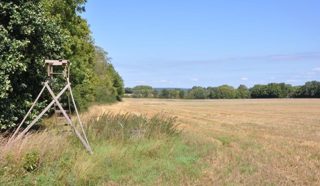 Åkermark Åkermark om ca 42 ha enligt mätning på lantmäterikarta. Stödrätter till åkerarealen följer överlåtelsen.