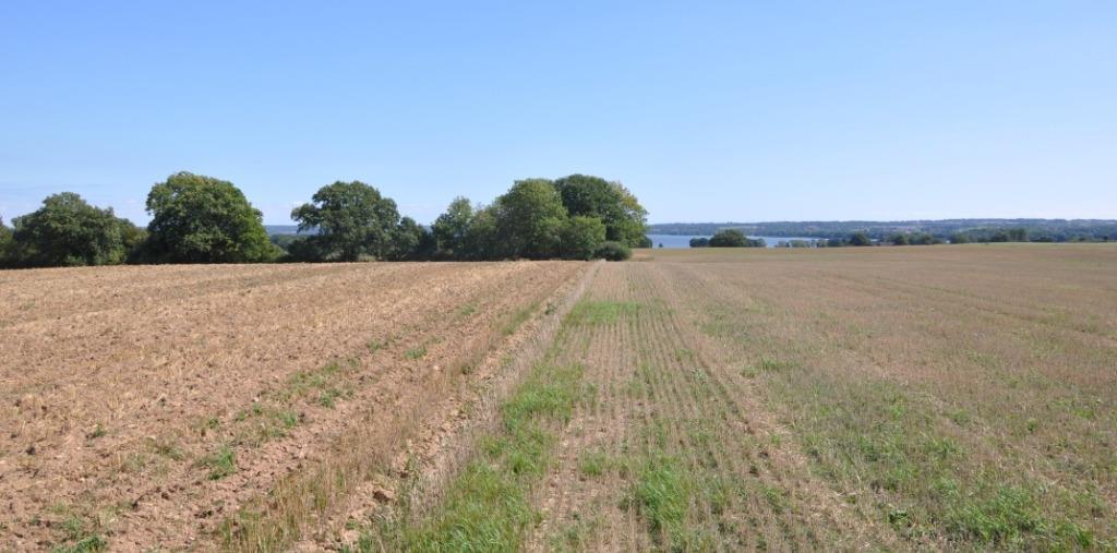 Undersökningsplikt/besiktning Köparen har enligt Jordabalken ett långtgående ansvar att själv undersöka fastigheten och förvissa sig om dess skick.