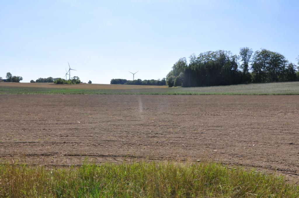 Om Skog & Lantbruk Skog & Lantbruk är ett rådgivningsföretag som arbetar med