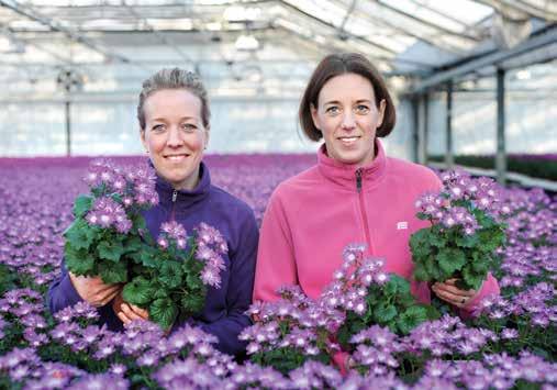 ÖPPNINGSERBJUDANDE: Vi bjuder på en blomma från vår egen odling Snart 100 år