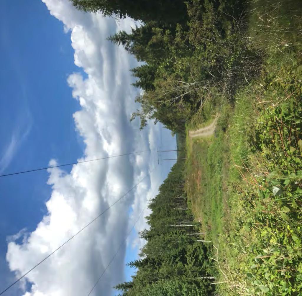 Figur 2. Aktuell ledning norr om Persberg i Filipstads kommun. 4.