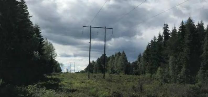 Figur 3. Trästolpar tillhörande aktuell ledning längs sträckan Hällefors-Persberg.