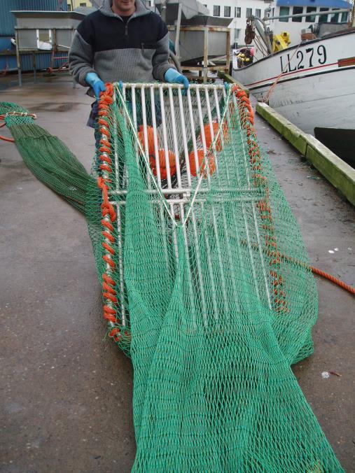 Ex 1: Vidareutveckling av storleksselektiv rist i fisket