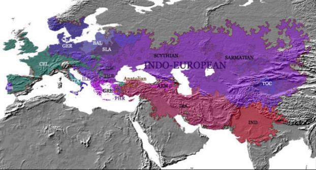 Indoeuropeiska språket. Svenska språket tillhör gruppen indoeuropeiska språk. Forskarna har länge grubblat över dess ursprung och spridning.