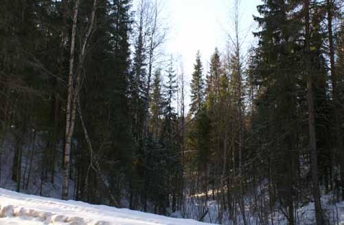 Naturmiljö Hela av vägsträckan omfattas av riksintresse för naturvården enligt Miljöbalken 3 kap 6 (Piteälven). Befintlig vägsträcka korsar biflöde till Natura 2000 området Piteälven en gång.