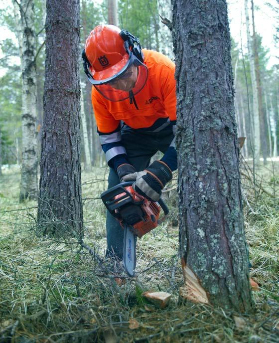 Guide för lärare Om arbetsmiljö och osund