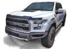 Ford Raptor, Exteriör Bugshield by Lund Art.