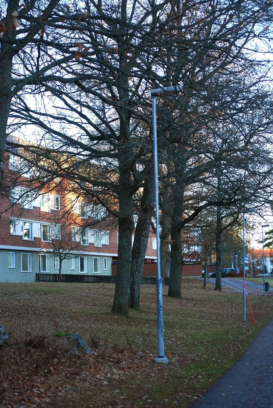 Område 2 Naturvärdesklass 4 Miljökvalitetsmål: Ett rikt växt- och djurliv, God bebyggd miljö och Levande skogar Tallskog på hällmark och stenig mark. Marken är friskare med inslag av gran i norr.