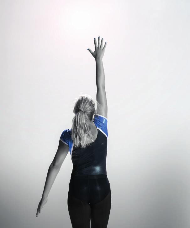 Hemsidor på Internet HFG har en egen hemsida, www.halmstadfrigymnaster.se.
